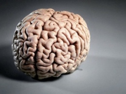 Ученые: Мозговые игры помогут избавиться от слабоумия