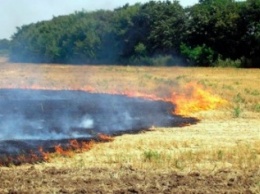 В Покровском (Красноармейском) районе сгорел очередной гектар поля