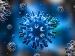 Ученые выявили способ навсегда избавиться от вируса Герпеса