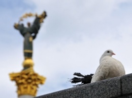 Ядовитая война и жадные олигархи раскалывают Украину - Suddeutsche Zeitung