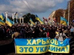 Харьковские активисты: кем они были, где работают и чего хотят