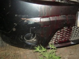 В Донецкой области женщина-полицейский задавила в гараже насмерть свою подругу (ФОТО)
