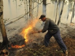 В Макеевке установлен особый пожарный режим