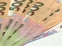 Запорожская облгосадминистрация выделила жене депутата облсовета около 2 миллионов гривен