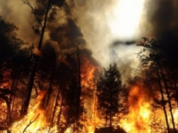 Пожары привели к сильнейшему за 7 лет падению ВВП Канады