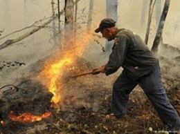 Рослесхоз приобрел для тушения пожаров непригодную технику на 76 млрд рублей