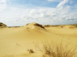 Возле природного парка "Олешковские пески" пройдут военные учения