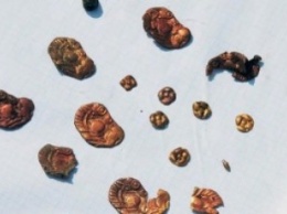 На раскопках в Полтавской области нашли "золото скифов"