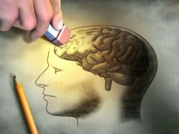 Ученые: Сжатие мозга из-за стресса может привести к потере памяти