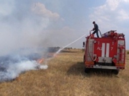 Пожар в Бахчисарайском районе охватил 30 га территории (ФОТО, ВИДЕО)