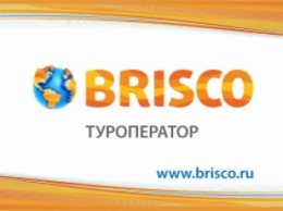 BRISCO объявил о приостановке деятельности