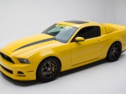 Пользователи Shelby GT350 Mustang отдали $295 000 на благотворительность
