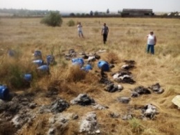 Более 170 бочек с ядом исчезло в Херсонской области - СМИ