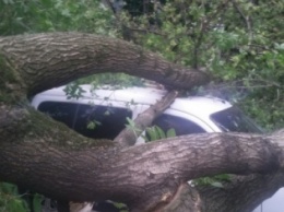 Ураган в Днипре срывал крыши и валил деревья (ФОТО)