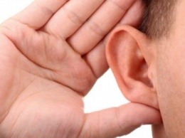Ученые: Поврежденный слух можно вылечить при помощи белков актиния