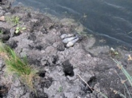 Подводный арсенал обнаружили в ставке в Константиновском районе