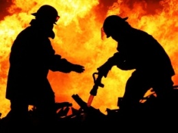 Полтавские пожарные перенимают немецкий опыт