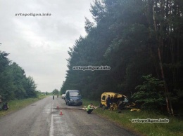 ДТП под Переяслав-Хмельницким: Renault Kangoo врезался в дерево - погибли муж, жена и 7-летняя дочь, еще двое детей - в реанимации. ФОТО