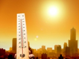 NASA: Аномальную жару 2015 прогнозировали еще в прошлом году