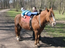 В запорожской "Дубовке" рассказали, почему в парке больше не будет лошадей (ВИДЕО)