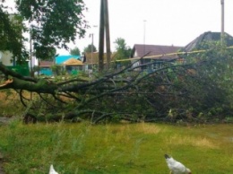 Ураган в Башкирии: Ветер срывал крыши и ломал деревья