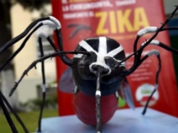 Власти США решили бороться с вирусом Зика с помощью генномодифицированных комаров