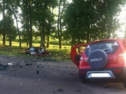 На Харьковщине в лобовом ДТП погибли две женщины-водителя