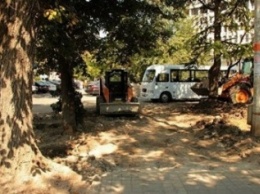 Для ремонта улицы в Симферополе спилят около 200 деревьев