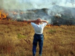 На Полтавщине за сутки пожарные 4 раза тушили сухостой