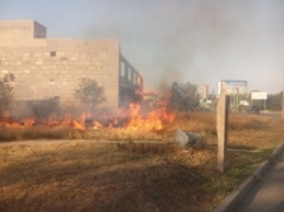 В Мелитополе полыхает пожар рядом с двумя автозаправками (фото, видео)