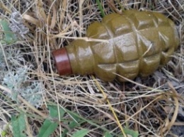 В Мариуполе рядом с колледжем нашли боевую гранату