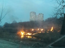В Волынской области спасатели несколько дней не могут потушить пожар на торфяниках