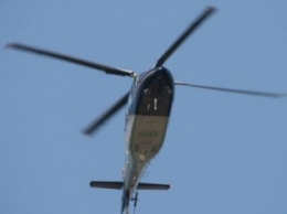 В Одесской области вертолет распугал краснокнижных птиц (ФОТО)