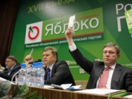 Партия "Яблоко" была снята с региональных выборов по решению Курского областного суда