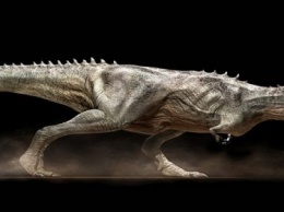 Ученые из Томска обнаружили новый вид динозавров