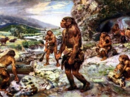 Пещерные люди очень любили сладкое - ученые