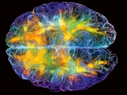Ученые обнаружили в мозге «центр интуиции»