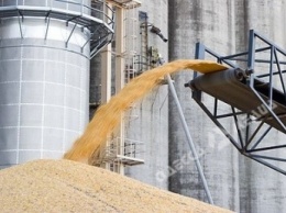 В Одесской области помешали незаконному вывозу зерна на 20 млн