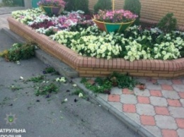 В Запорожье пьяная женщина рвала цветы на чужой клумбе, - ФОТО