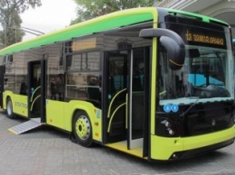 В Днепре на маршрутах работают троллейбусы для инвалидов