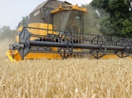 Аграрии Украины намолотили 37,6 млн тонн зерна