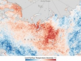 Ученые: Этим летом зафиксированы экстремальные волны тепла