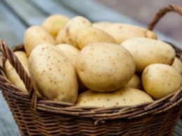 Самыми дешевыми сельхозпродуктами в Самаре стали овощи и картофель