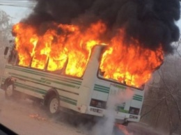 Автобус горел на Житомирщине