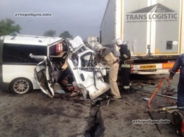 ДТП на Житомирщине: Renault Trafic врезался в прицеп фуры Scania - погибли два пассажира. ФОТО