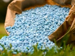 Украинские фермеры продолжают покупать российские азотные удобрения