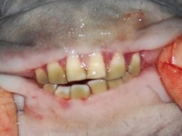 В США поймали необычную рыбу с человеческими зубами