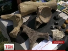 В Черниговской области раскопали музыкальные инструменты, изготовленные 20 тысяч лет тому
