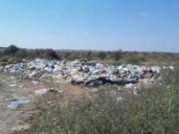 Активисты разоблачили "мусорную мафию" чиновников (фото)