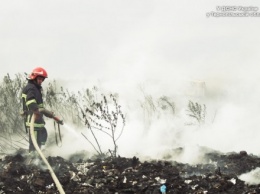 В Тернопольской области горит свалка